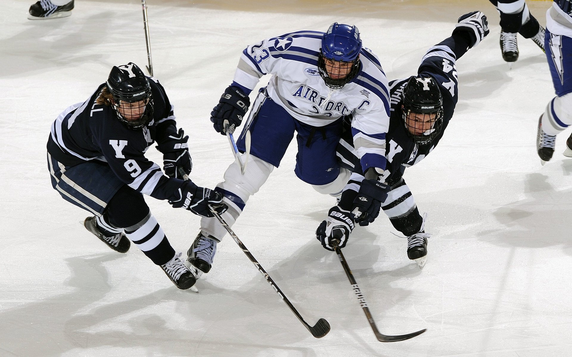 主场球迷应援是否影响VAR最终判罚倾向,球赛应援